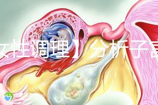 【女性調理】分析子宮壁薄的四個常見原因,教你三招對癥下藥可以快速改善!