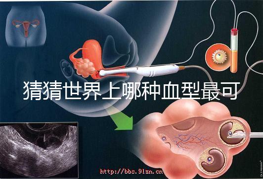 猜猜世界上哪種血型最可怕,史上超全排行榜為你揭曉答案