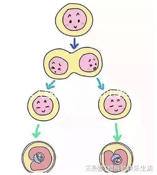 男人結婚時是否可以穿白色鞋子和白色西裝進行分析,看看對誰不利