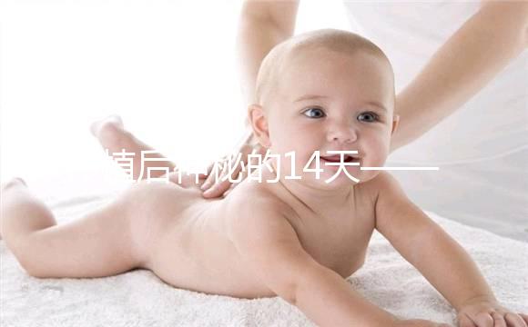 移植后神秘的14天——你的胚胎都發(fā)生了哪些變化？