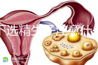 私下選精生子注意什么細(xì)節(jié)要早知,選擇正規(guī)機構(gòu)最重要