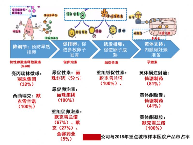 精子濃度高需及時治療，搭配飲食調理助你突破生育危機