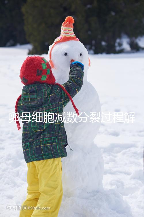 卵母細胞減數分裂過程解讀,從出生到成熟必經這3個階段