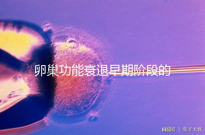 卵巢功能衰退早期階段的妊娠率釋疑，供卵試管嬰兒可>50%