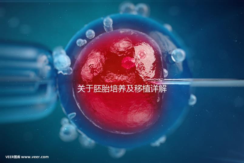 關(guān)于胚胎培養(yǎng)及移植詳解