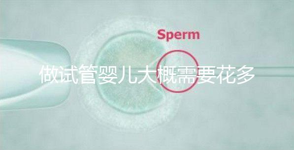 做試管嬰兒大概需要花多少錢，做試管嬰兒需要花多少錢
