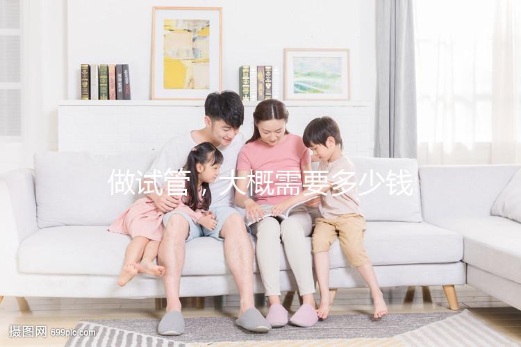 做試管，大概需要多少錢