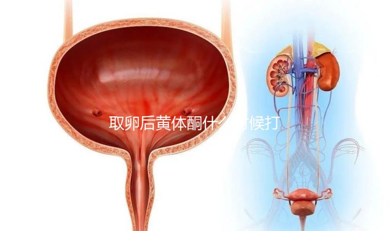 取卵后黃體酮什么時候打？3種人群最佳注射時間各不同