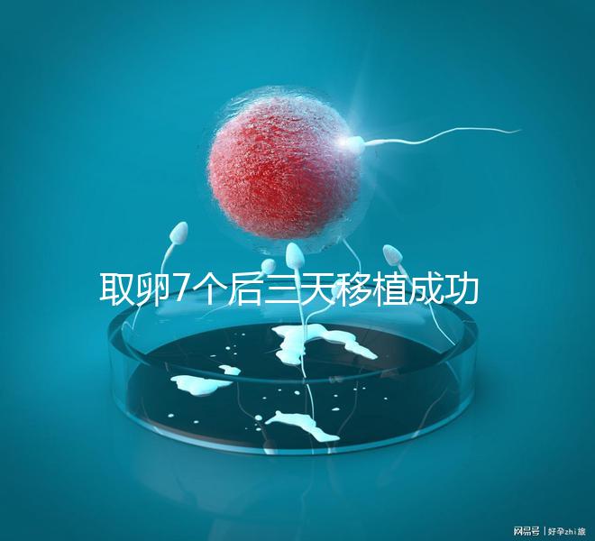 取卵7個后三天移植成功率真不低,關鍵要滿足這5大條件
