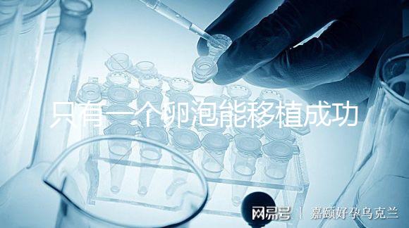 只有一個(gè)卵泡能移植成功嗎？別擔(dān)心!過來人告訴你好孕并不難