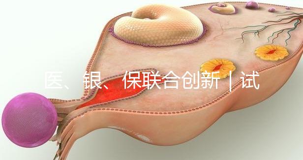 醫(yī)、銀、保聯(lián)合創(chuàng)新|試管嬰兒保險(xiǎn)套餐及銀行專項(xiàng)分期助孕在我院率先落地!