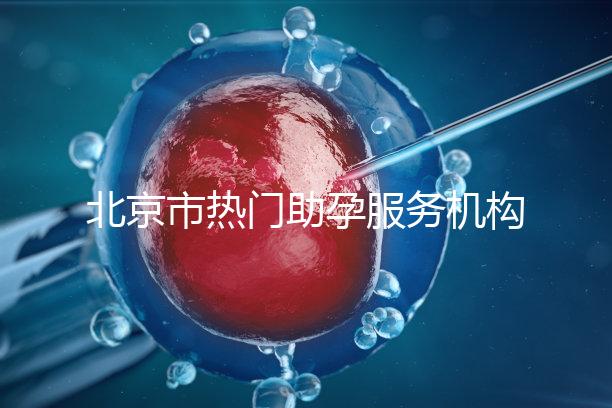 北京市熱門助孕服務(wù)機(jī)構(gòu)排名榜單!這三家性價(jià)比比較出眾!