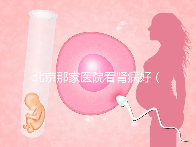 北京那家醫院看腎病好(北京腎病十大醫院排名)