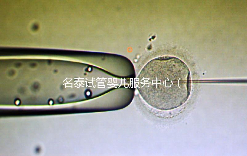 名泰試管嬰兒服務(wù)中心(名泰試管嬰兒服務(wù)中心怎么樣)