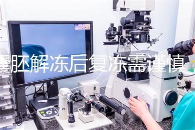 囊胚解凍后復凍需謹慎，這些對胚胎質量的影響不可不知