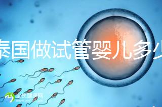 在泰國做試管嬰兒多少錢(在泰國做試管嬰兒多少錢?)