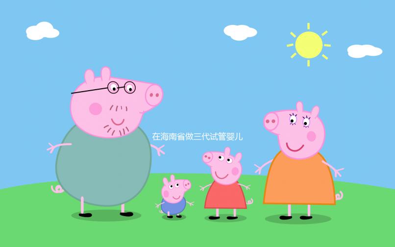 在海南省做三代試管嬰兒一般要花費(fèi)多少,全面介紹費(fèi)用項(xiàng)目與相關(guān)要素