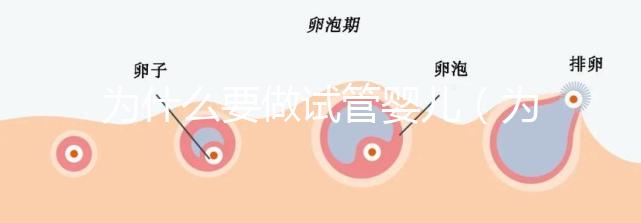 為什么要做試管嬰兒(為什么要做試管嬰兒的原因)