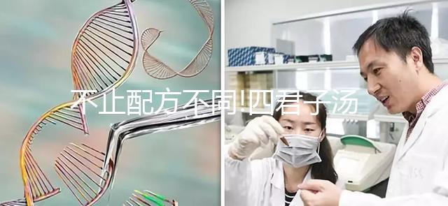 不止配方不同!四君子湯與四物湯有這4個區別