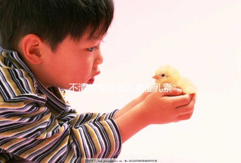 不清楚南昌催乳素催乳素催收如何收費快速閱讀,專業問題讓你花更少的錢