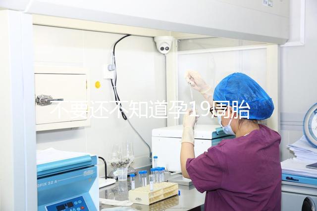 不要還不知道孕19周胎教音樂(lè)是怎么放的先聽(tīng)聽(tīng)有用嗎?