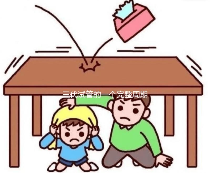 三代試管的一個完整周期包含哪些內容?