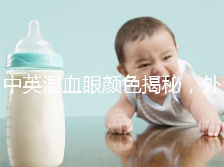 中英混血眼顏色揭秘，外觀特征，長什么樣的快速收藏