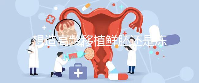 想造高齡移植鮮胚還是凍胚好請進,關(guān)鍵看身體適不適合