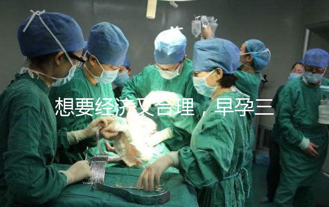 想要經(jīng)濟又合理,早孕三項檢查保持這個頻率就好!