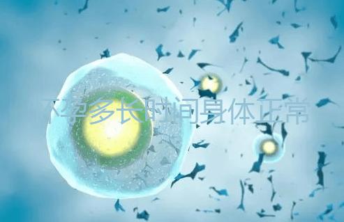 懷孕多長時(shí)間身體正常