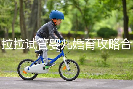 拉拉試管嬰兒婚育攻略合輯，期待新生命，為自己而活(三）