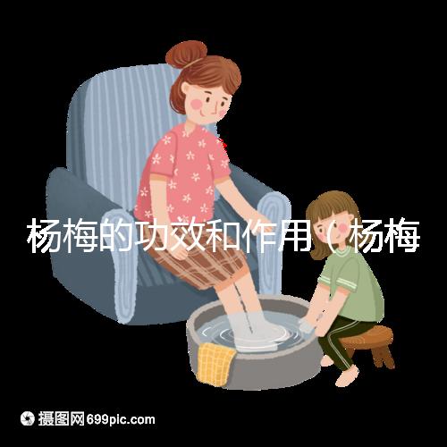 楊梅的功效和作用(楊梅的功效和作用禁忌 營養(yǎng)價值)