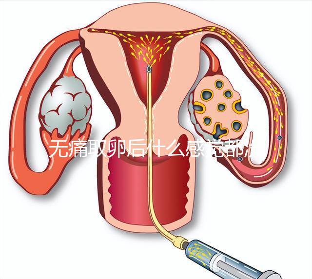 無痛取卵后什么感覺都沒有異常是謠言!只會出現一部分...