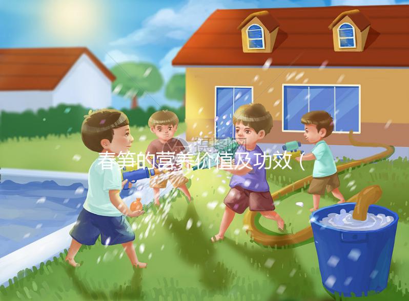 春筍的營養(yǎng)價值及功效（春筍的營養(yǎng)價值及功效與作用）