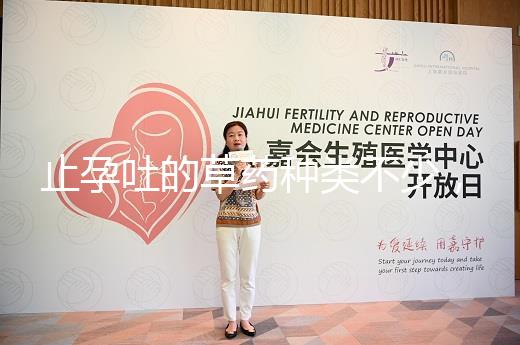 止孕吐的草藥種類不少，胡椒草、半夏…幫你輕松渡過孕早期