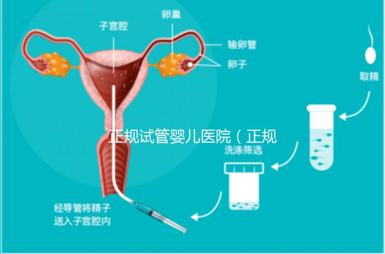 正規(guī)試管嬰兒醫(yī)院(正規(guī)試管嬰兒醫(yī)院排名)