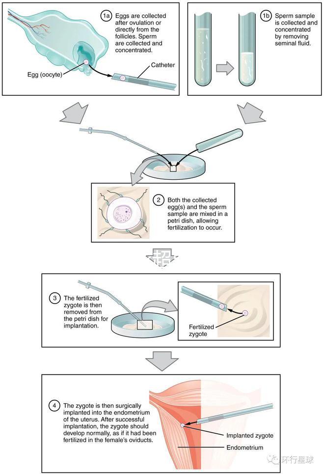 武漢四維彩超費用表整理，內附市婦保院超全預約攻略