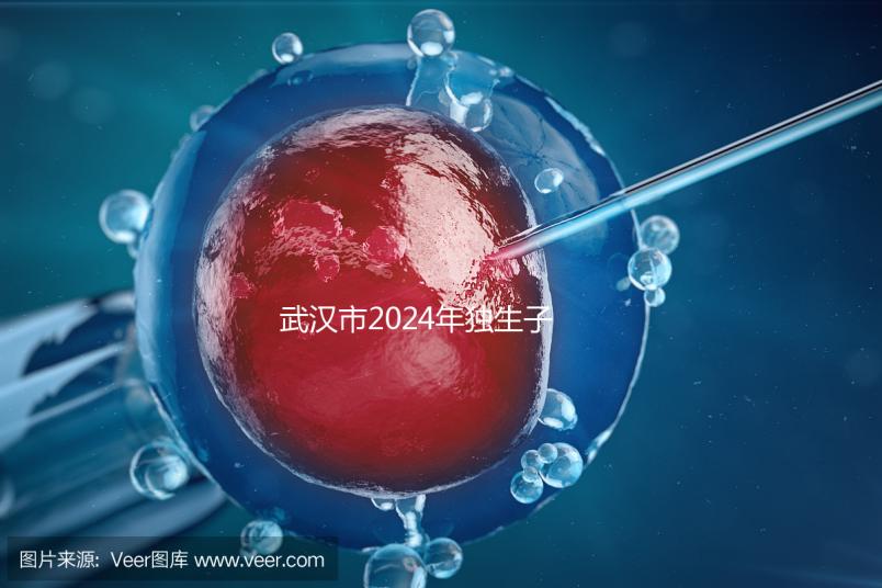 武漢市2024年獨生子女補貼政策已經(jīng)實施,領(lǐng)取流程更加規(guī)范