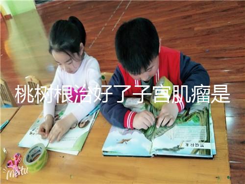 桃樹根治好了子宮肌瘤是謠言？和豬肉一起吃效果真不賴