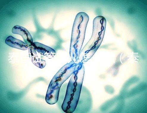 泰國試管嬰兒怎么做（泰國試管嬰兒怎么做手術）