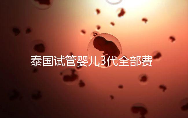 泰國試管嬰兒3代全部費用大概是多少？