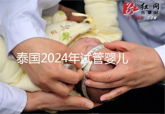 泰國2024年試管嬰兒攻略索引：證書，結婚證是硬條件