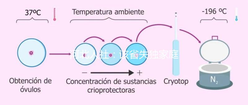 河北人社:該省失獨家庭補助金標(biāo)準(zhǔn)提升