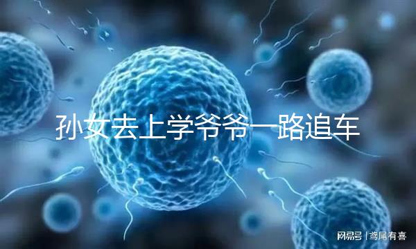 孫女去上學(xué)爺爺一路追車(chē)告別,網(wǎng)友:上了年紀(jì)淚點(diǎn)更低了