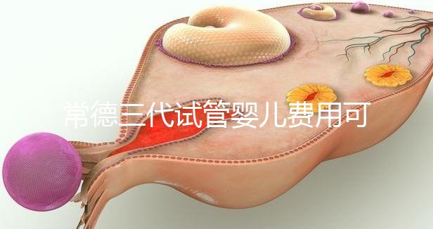 常德三代試管嬰兒費(fèi)用可以報(bào)銷(xiāo)嗎？?jī)?nèi)附試管費(fèi)用明細(xì)