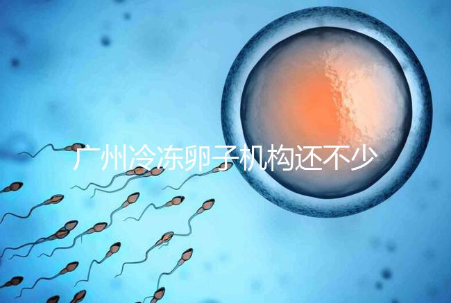 廣州冷凍卵子機(jī)構(gòu)還不少,但國內(nèi)凍卵這些條件你達(dá)成了嗎?