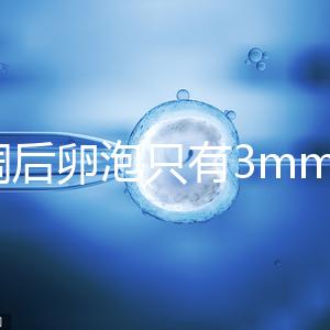 降調后卵泡只有3mm時不要慌，多吃豆類即可恢復正常