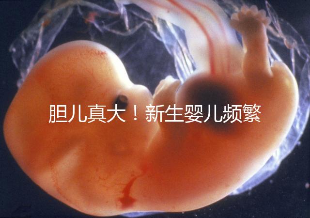 膽兒真大！新生嬰兒頻繁打嗝不要游泳以免嗆水