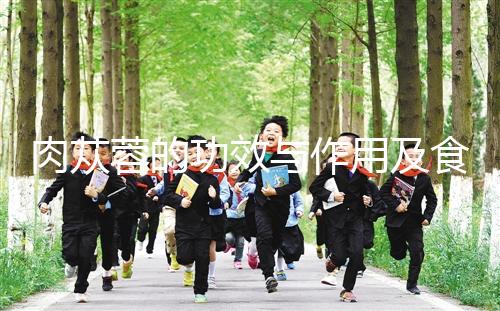 肉蓯蓉的功效與作用及食用方法(肉蓯蓉配什么壯陽最猛)