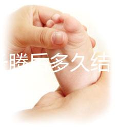 西瓜長騰后多久結西瓜(西瓜多久長藤)